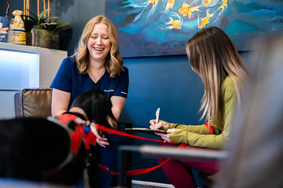 vet with customer