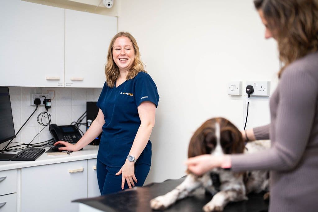 Vets with dog