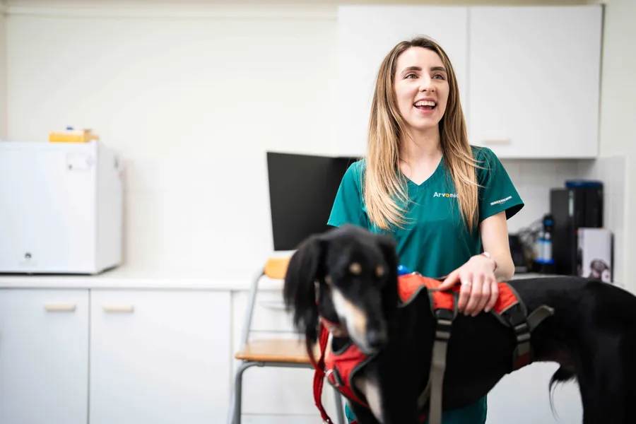 Vet with Dog