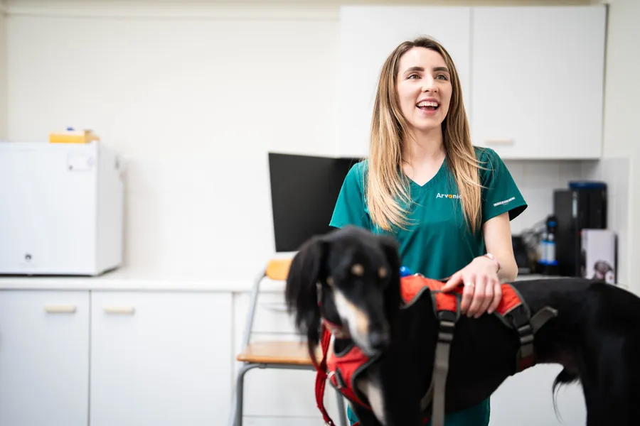 Careers with VetThing