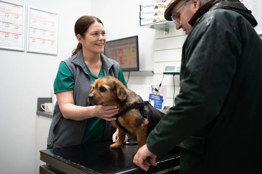 Vet Grace Lane