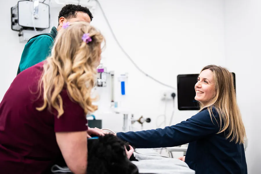 Vet with nurses flipped.jpg