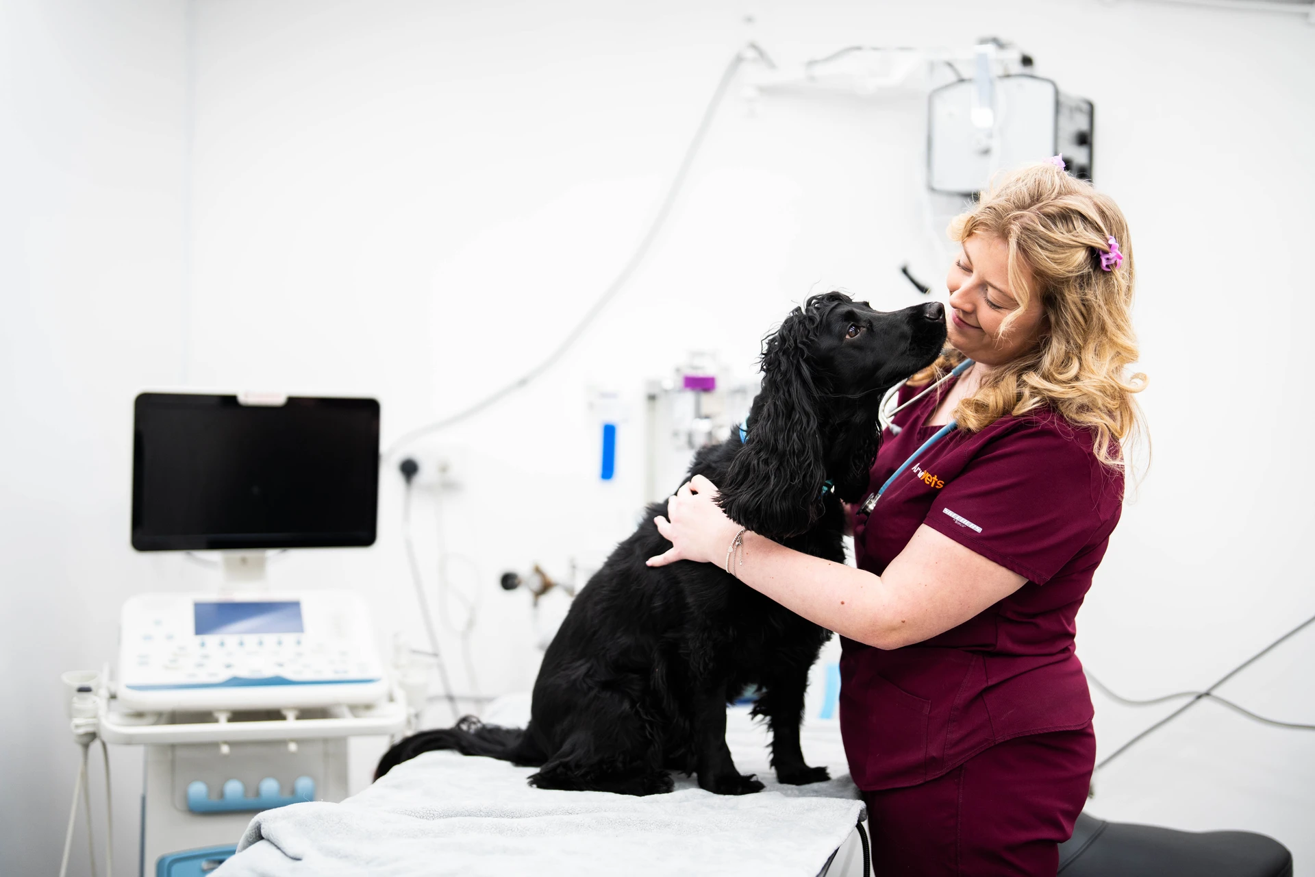 Vet Thing Vet with Dog