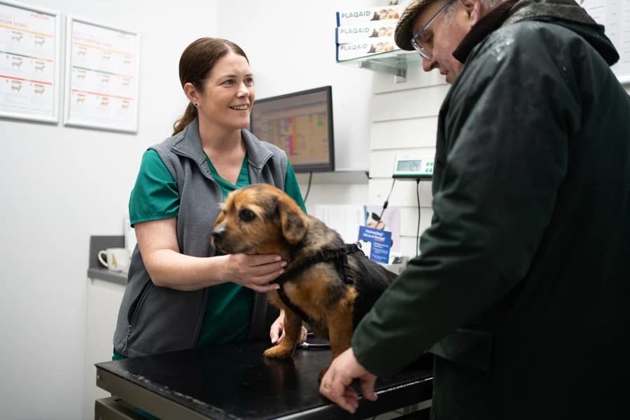 Vet Grace Lane